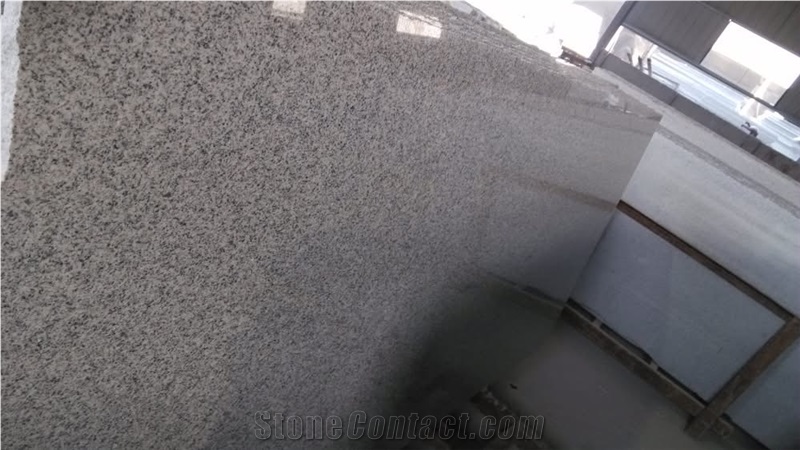 G603 Granite Slabs Polished 240Cm Up X 70Cm Up