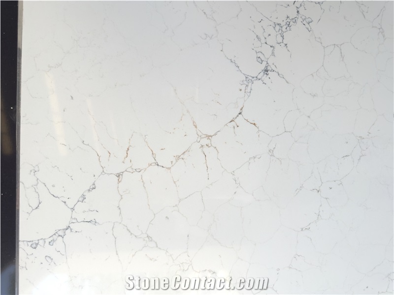 Calacatta Grande Quartz Slabs