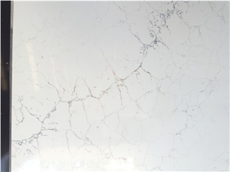 Calacatta Grande Quartz Slabs