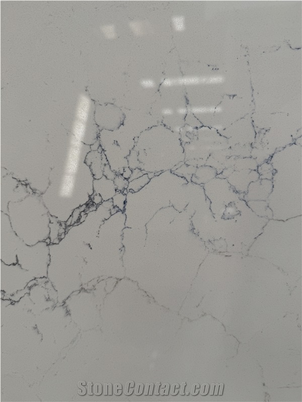 Calacatta Lavasa Quartz Slabs