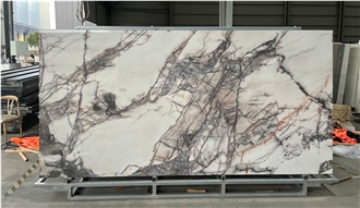 Bird Of Paradise Sintered Stone Slabs