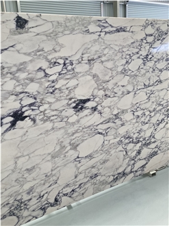 Calacatta Viola Quartz Slabs