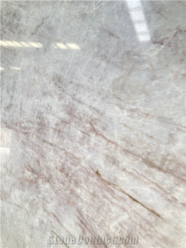Taj Mahal Quartz Commercial Counters