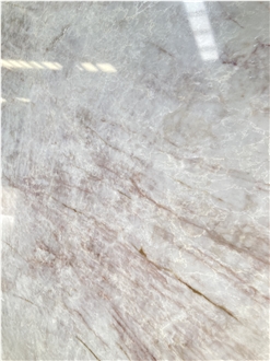 Taj Mahal Quartz Commercial Counters