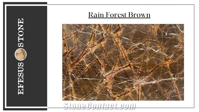 Rainforest Brown Marble Slabs