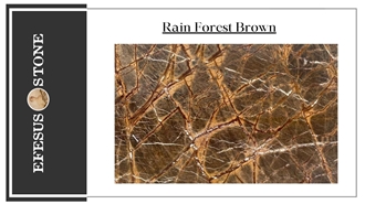 Rainforest Brown Marble Slabs