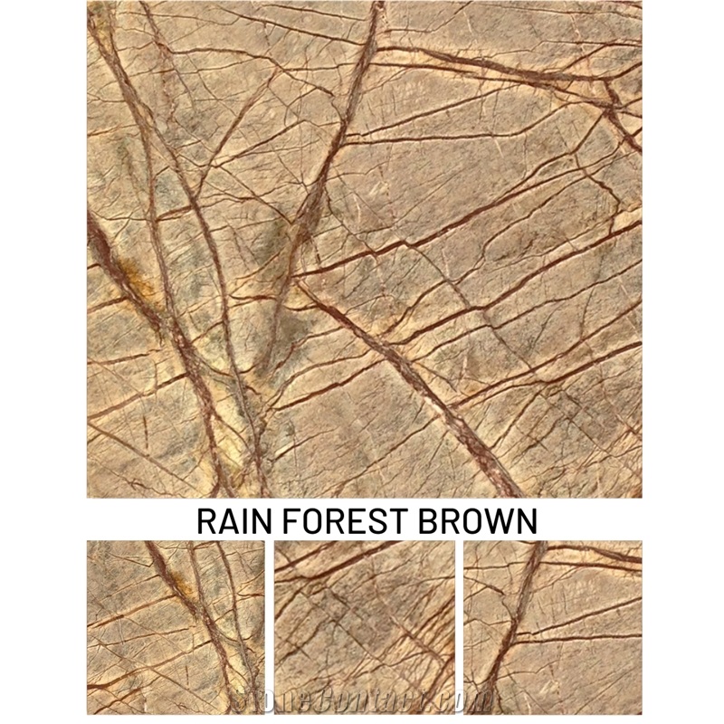 Rainforest Brown Marble Slabs