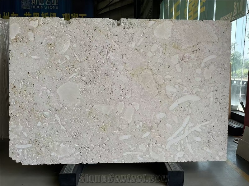 Guatemala Beige Coral Stone Machine Cut Slabs