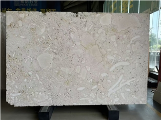 Guatemala Beige Coral Stone Machine Cut Slabs