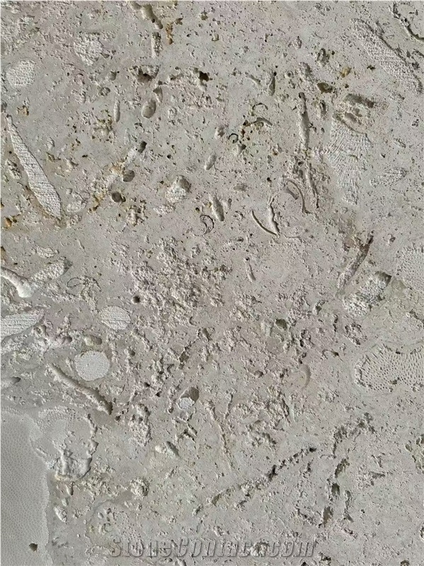 Guatemala Beige Coral Stone Machine Cut Slabs