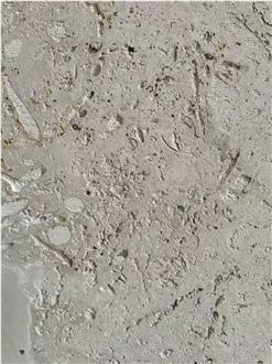 Guatemala Beige Coral Stone Machine Cut Slabs