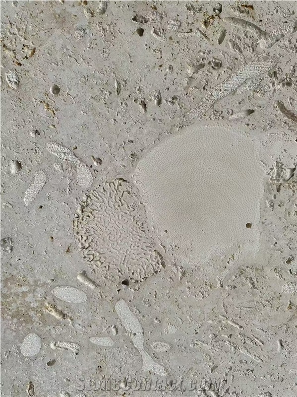 Guatemala Beige Coral Stone Machine Cut Slabs