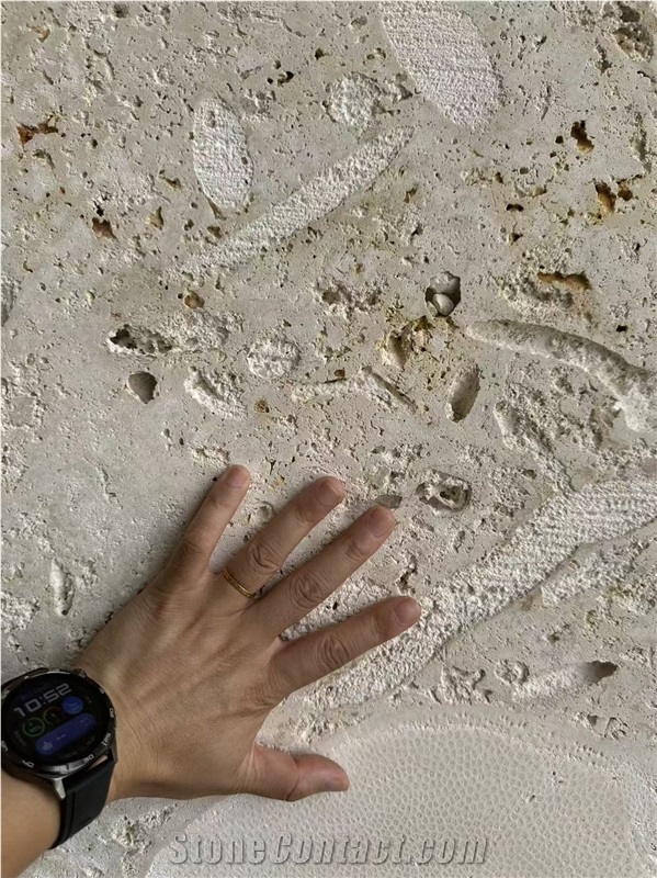 Guatemala Beige Coral Stone Machine Cut Slabs