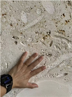 Guatemala Beige Coral Stone Machine Cut Slabs