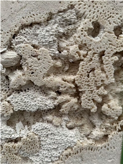 Guatemala Beige Coral Stone Machine Cut Slabs