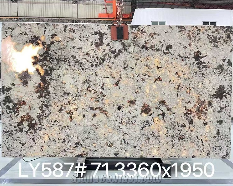 Splendor White Granite Polished Slabs