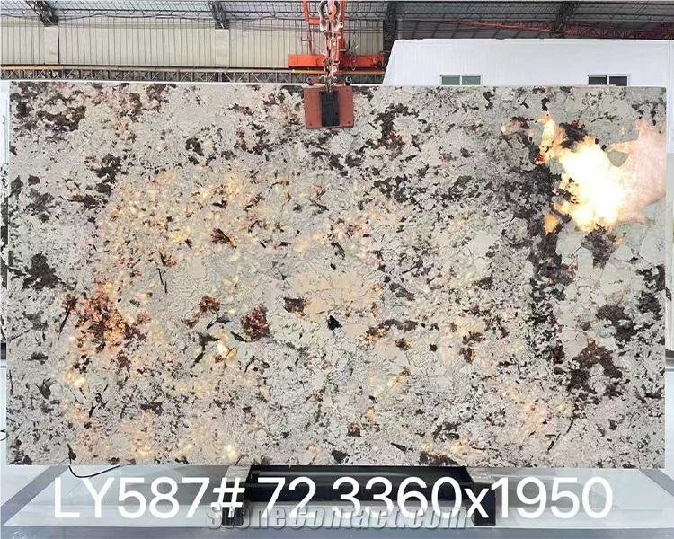 Splendor White Granite Polished Slabs