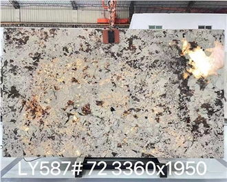 Splendor White Granite Polished Slabs