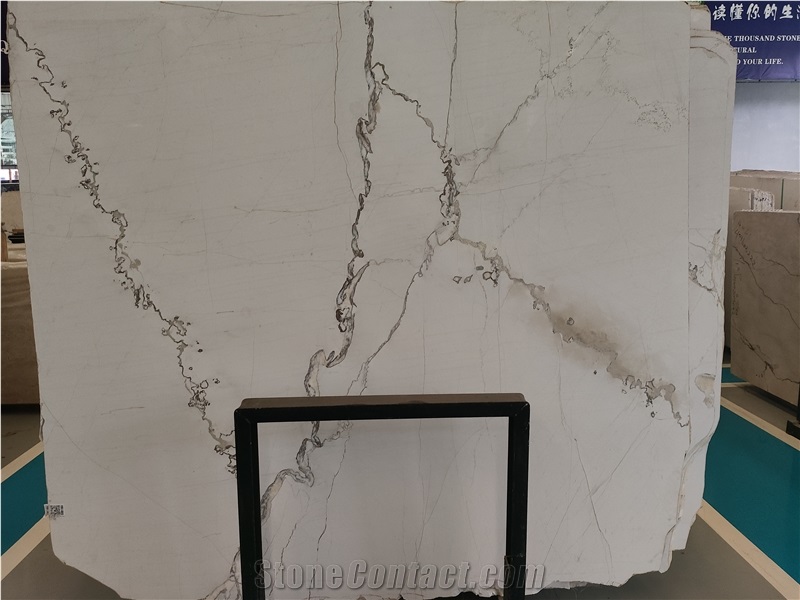 China Irregular Vein Picasso White Marble Slabs