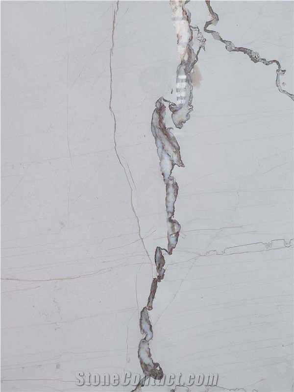China Irregular Vein Picasso White Marble Slabs