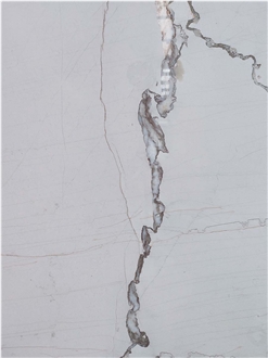 China Irregular Vein Picasso White Marble Slabs