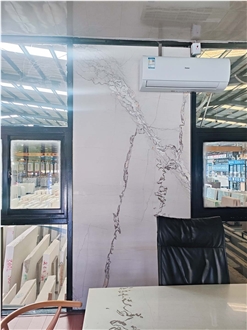 China Irregular Vein Picasso White Marble Slabs
