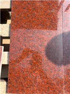 Jhansi Red Granite Polished Tile Slabs