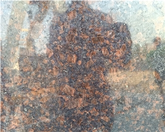 Tan Brown Granite Slab Tiles