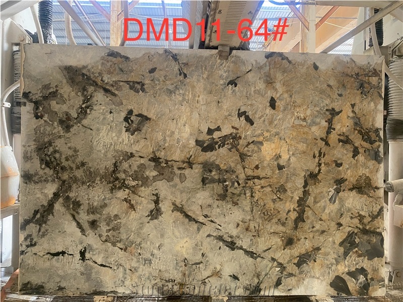 DMD 11 New Arrival Patagonia Quartzite Slabs