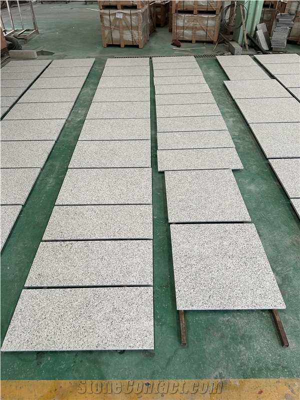 Warner White Granite Floor / Wall Tiles 300*600/800*800 Big Size