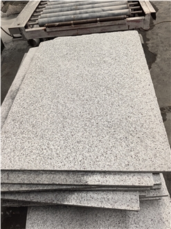 Warner White Granite Floor / Wall Tiles 300*600/800*800 Big Size