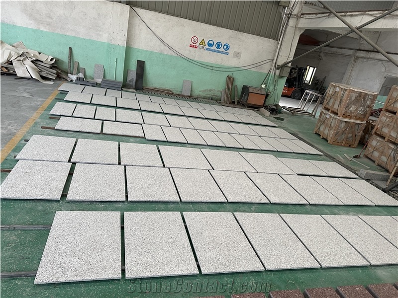 Warner White Granite Floor / Wall Tiles 300*600/800*800 Big Size