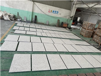 Warner White Granite Floor / Wall Tiles 300*600/800*800 Big Size