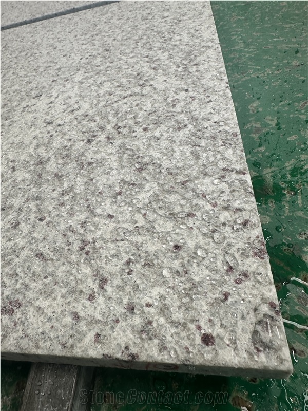 Warner White Granite Floor / Wall Tiles 300*600/800*800 Big Size