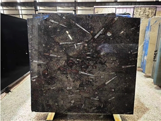 Fossil Black Marble Slabs