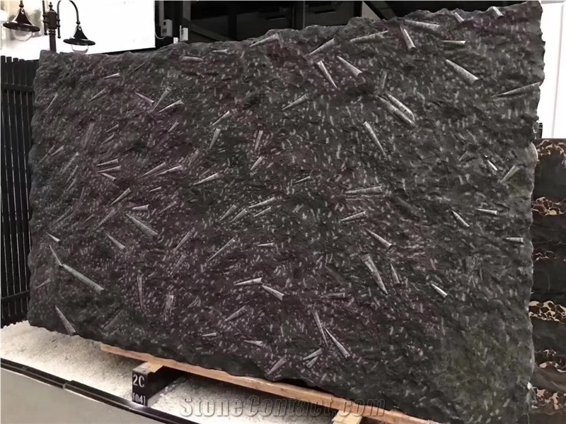 Fossil Black Marble Slabs