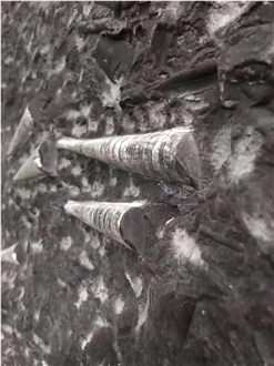 Fossil Black Marble Slabs