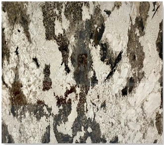 Golden Peacock Granite Slabs / Splendor White Granite