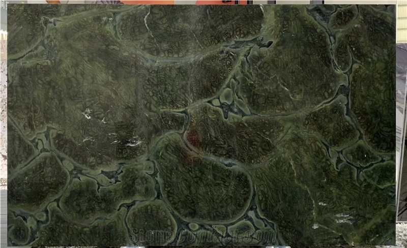 Luxury Stone Vitoria Regia Quartzite Slabs