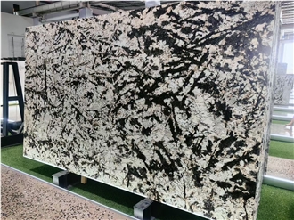Polished Silver Fox Granite Slabs