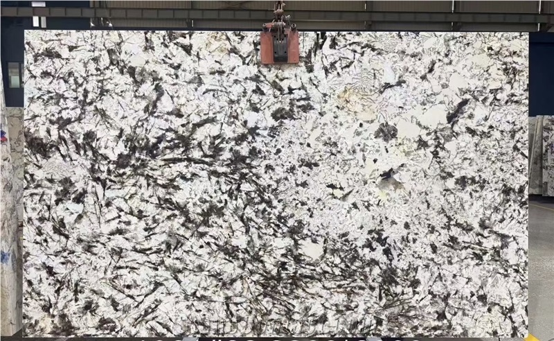 Polished Silver Fox Granite Slabs
