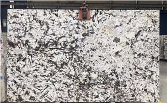 Polished Silver Fox Granite Slabs