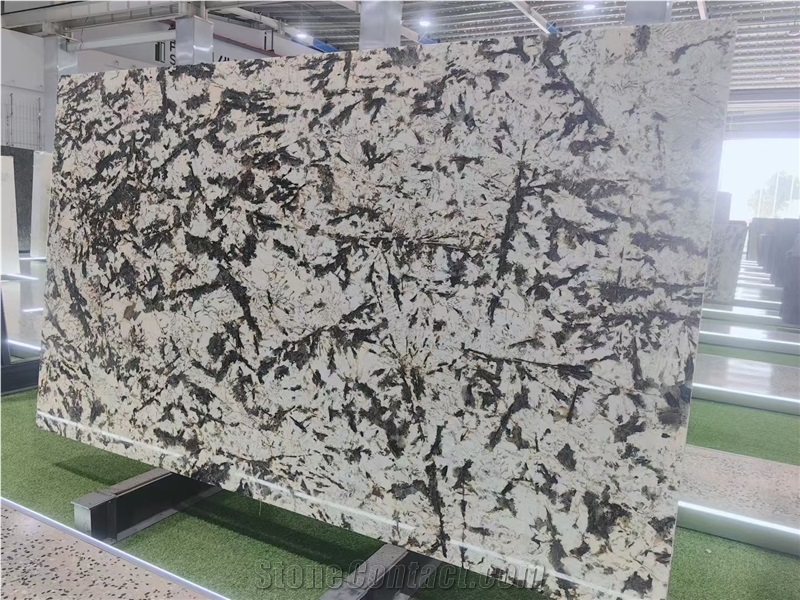 Polished Silver Fox Granite Slabs