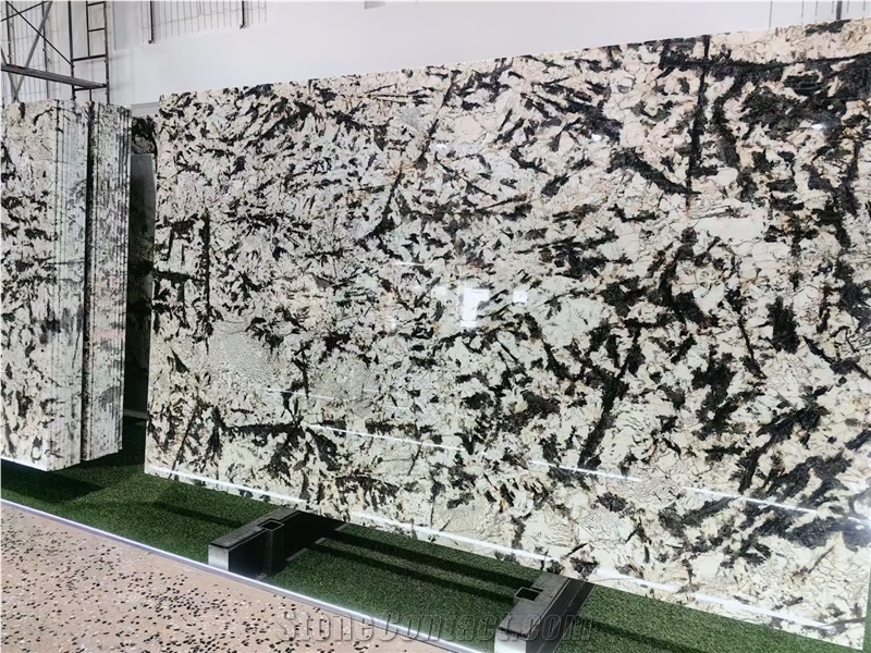 Polished Silver Fox Granite Slabs