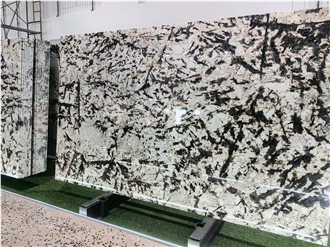 Polished Silver Fox Granite Slabs