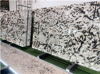 Polished Silver Fox Granite Slabs