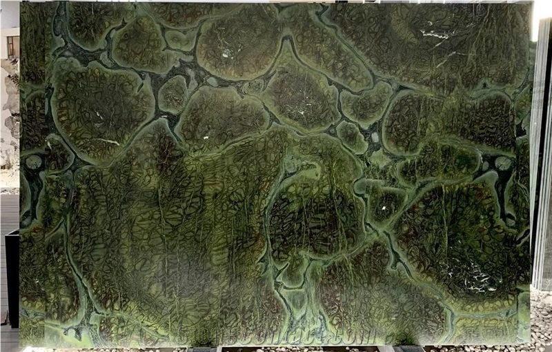 Vitoria Regia Quartzite  Slabs For Decoration