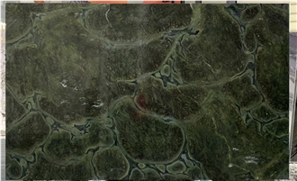 Vitoria Regia Quartzite  Slabs For Decoration