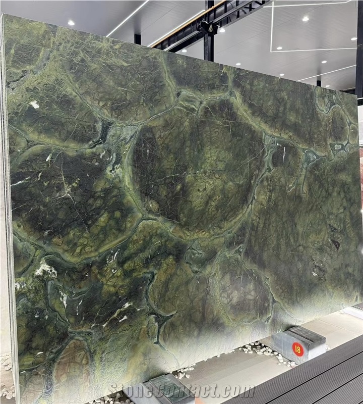 Vitoria Regia Quartzite  Slabs For Decoration