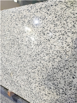 Bianco Halayeb Granite Slabs, Tiles